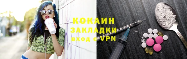 прущий лед Богданович