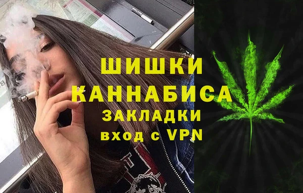 дмт Богородицк