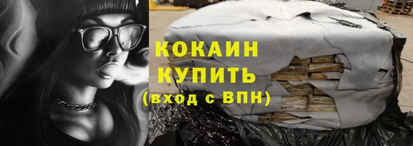 прущий лед Богданович