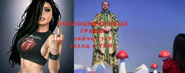 дмт Богородицк