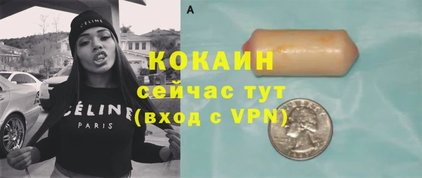 дмт Богородицк