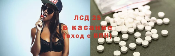 прущий лед Богданович
