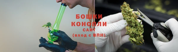 дмт Богородицк