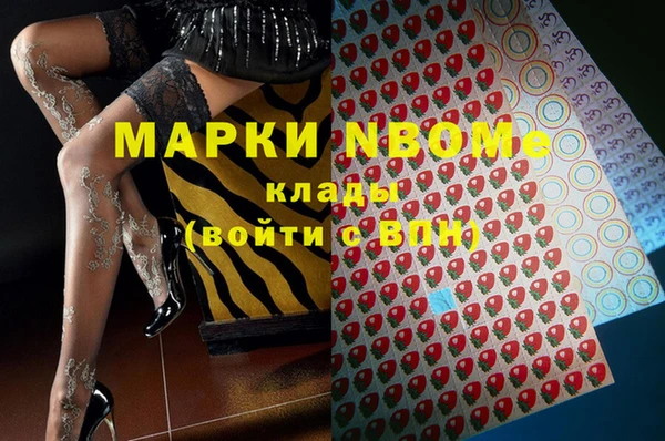 прущий лед Богданович