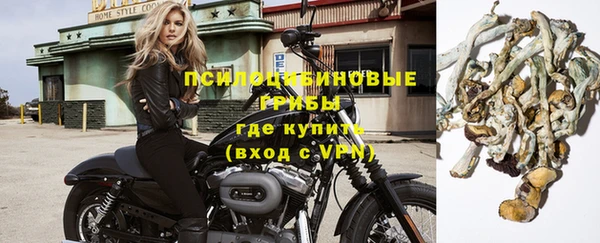 прущий лед Богданович