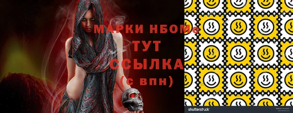 прущий лед Богданович