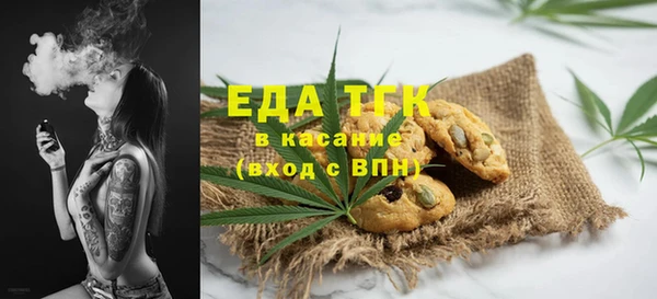 дмт Богородицк