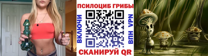 Галлюциногенные грибы мицелий  Купить закладки  Протвино 