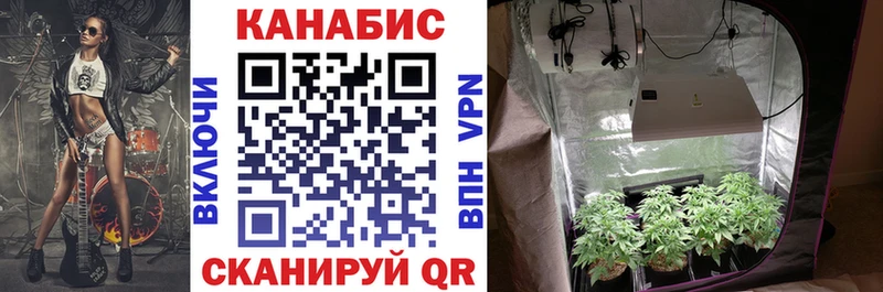Шишки марихуана конопля  Купить где  Протвино 